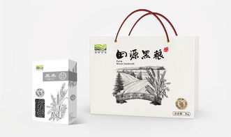 农业插画 连接科学研究与艺术表达的视觉桥梁