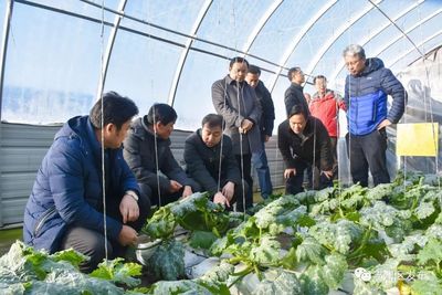 战风沙、斗酷暑,肃州戈壁滩变身&ldquo;聚宝盆&rdquo;!~