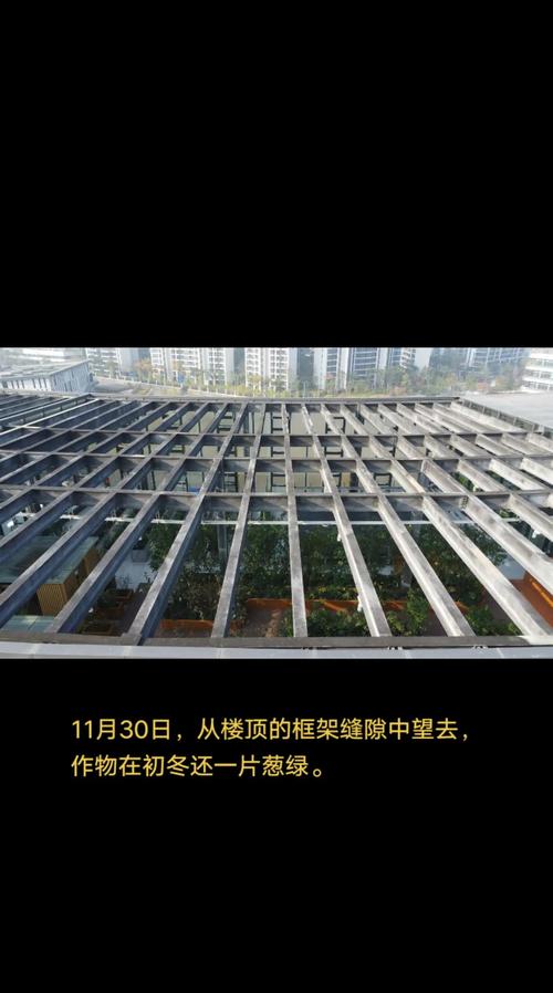 在四川成都,中国农业科学院都市农业研究所的一座20层垂直植物工厂中